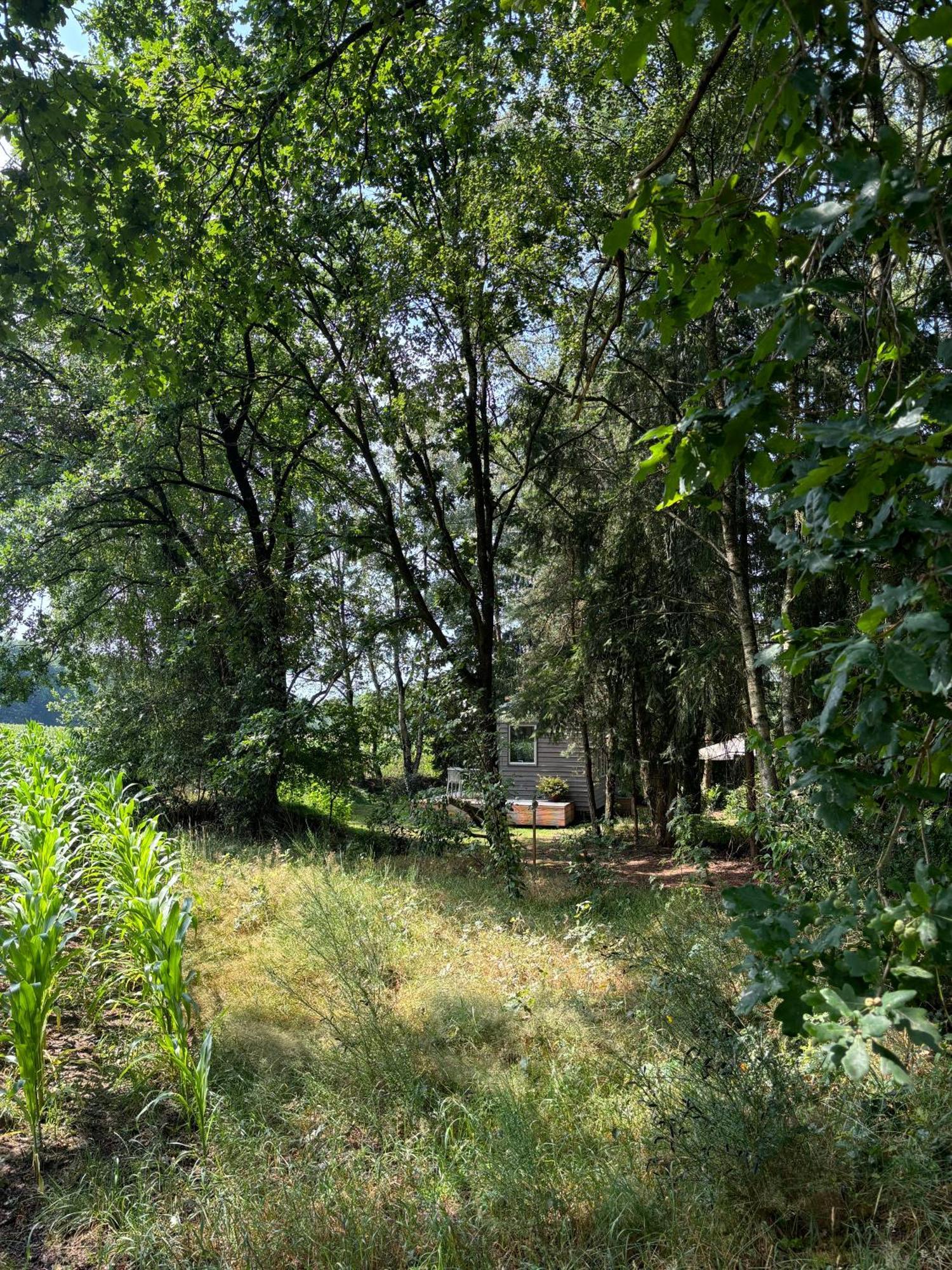 Tiny House Mit Garten In Der Lueneburger Heide Soltau Εξωτερικό φωτογραφία